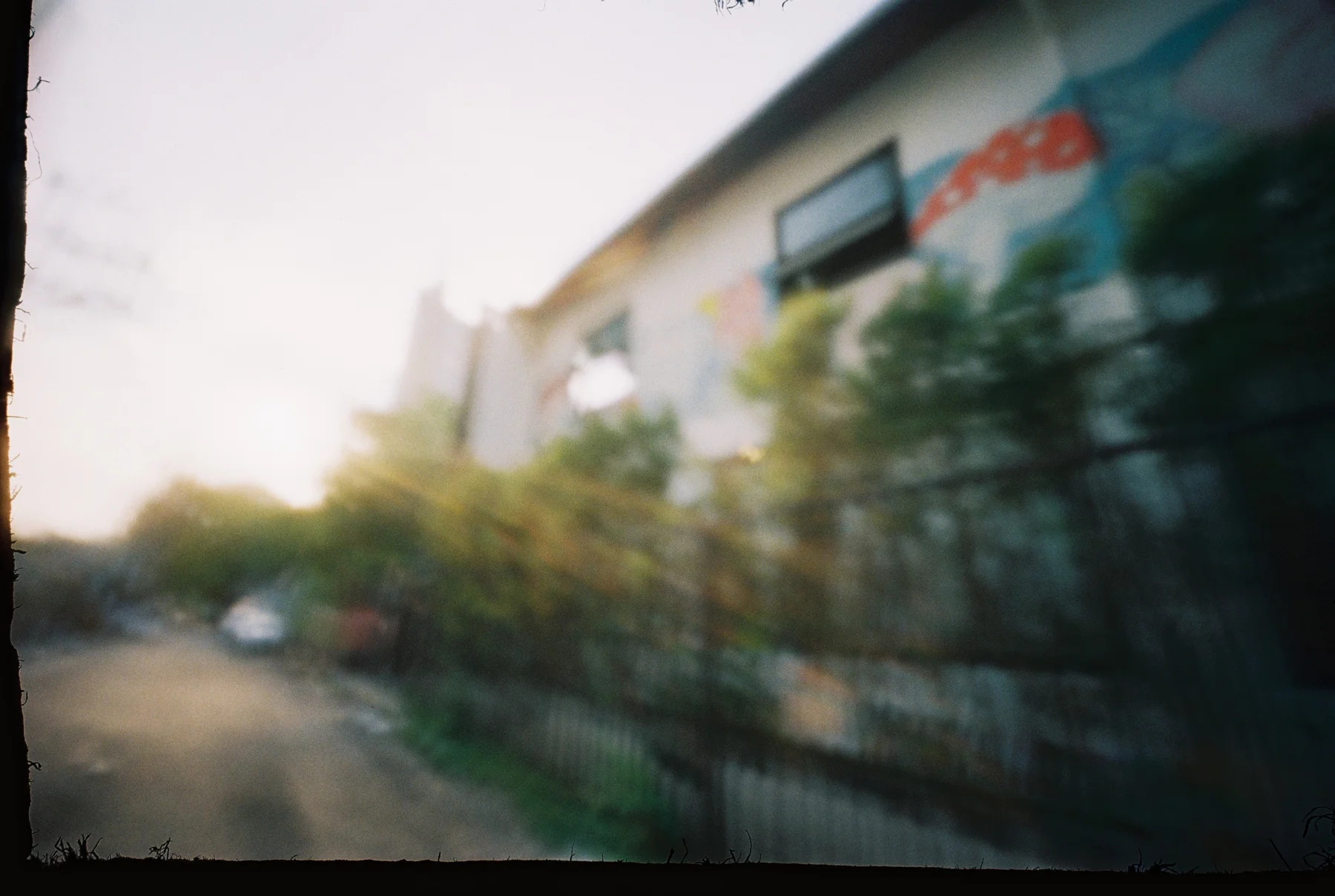 Fly on the Wall — photograph 1