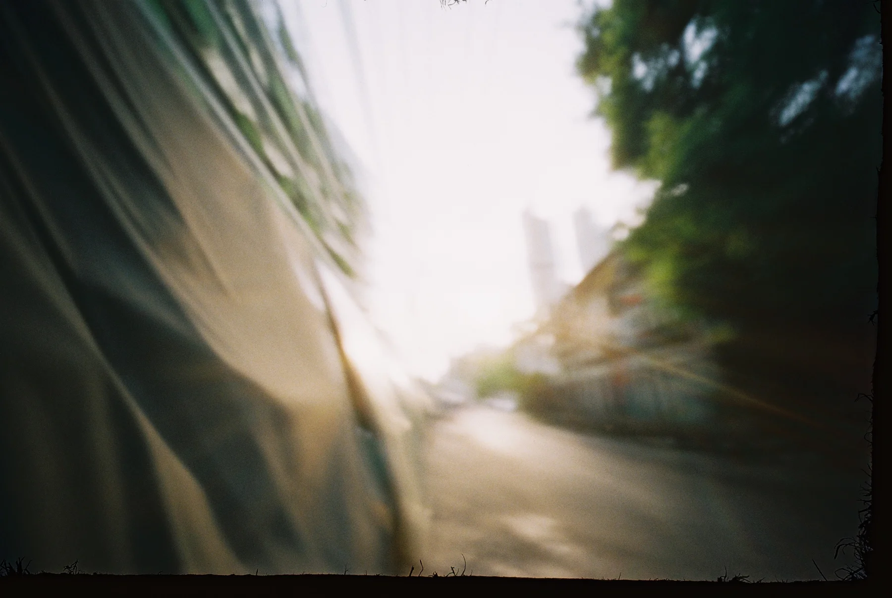 Fly on the Wall — photograph 3