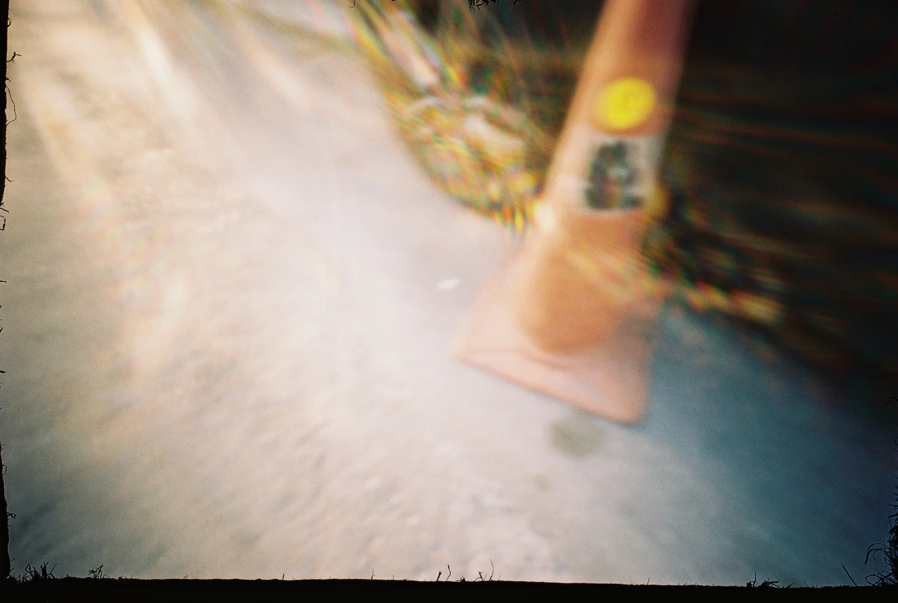 Fly on the Wall — photograph 4