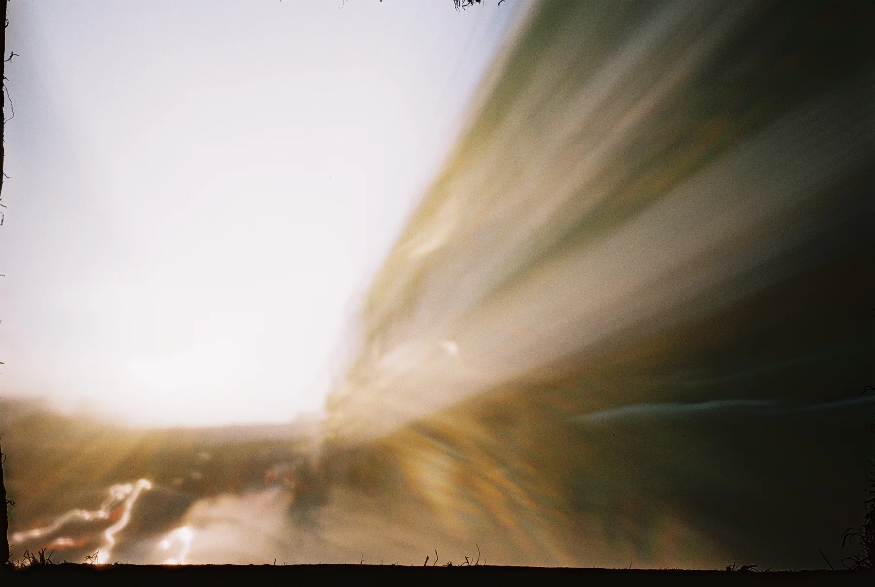 Fly on the Wall — photograph 5