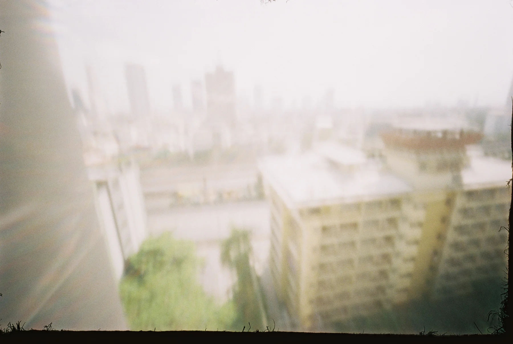 Fly on the Wall — photograph 6