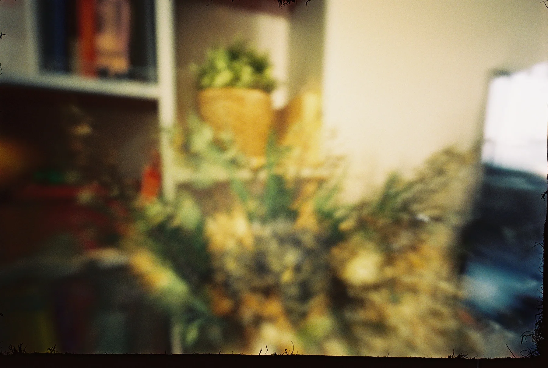 Fly on the Wall — photograph 7