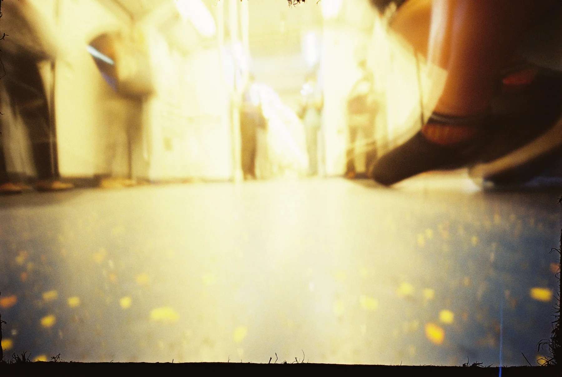 Fly on the Wall — photograph 8